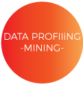 data-profiling